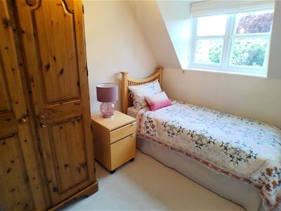 Picture 17